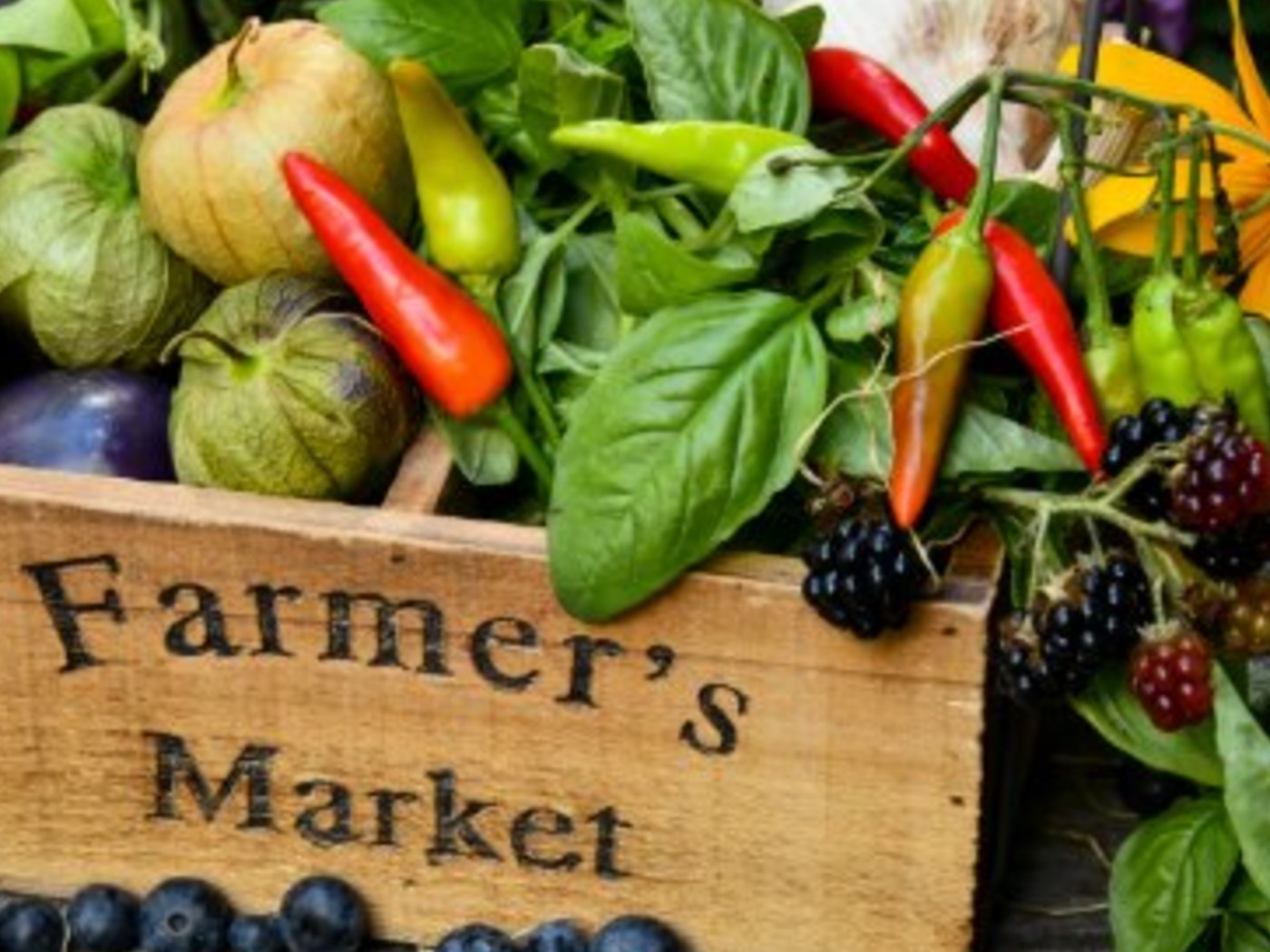 Farmer's Market Trip